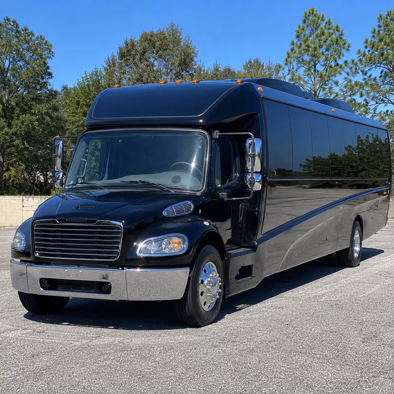 virginia beach 20 passenger minibus
