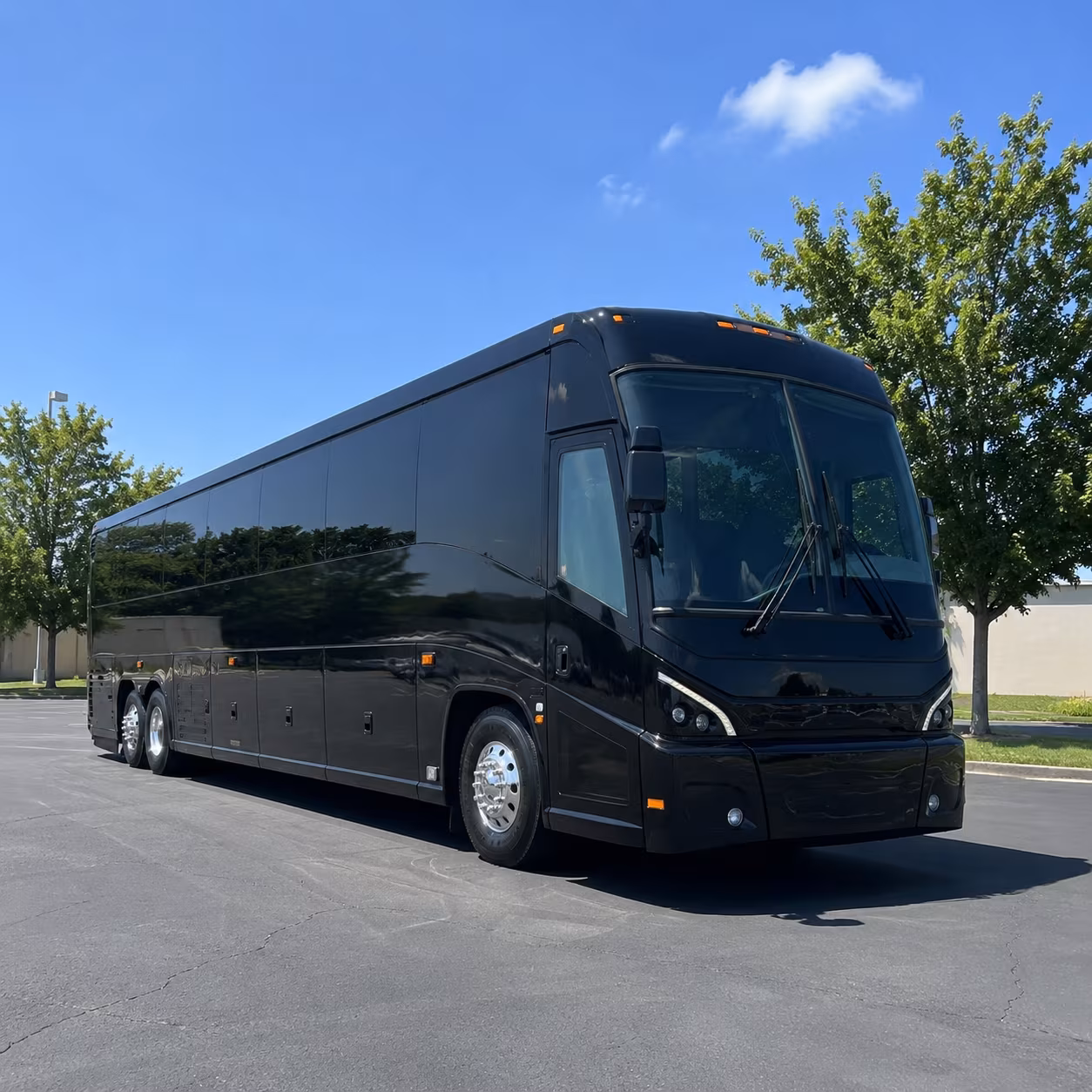 virginia beach 56 passenger charter bus